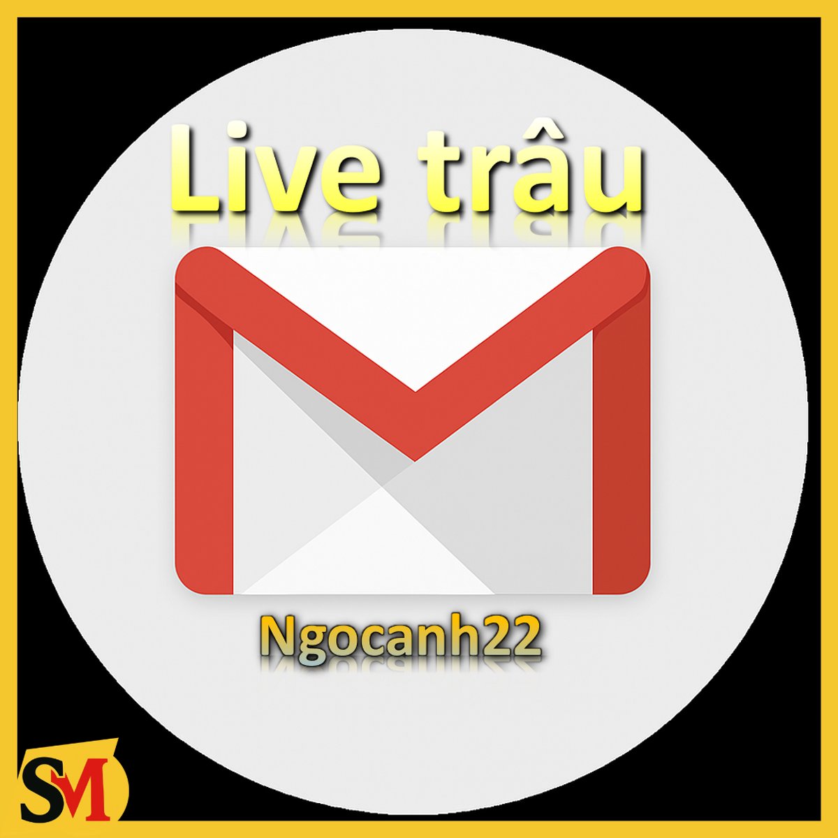 Gmail đã qua dịch vụ Youtube - Gmail Reg tay - Live Trâu
