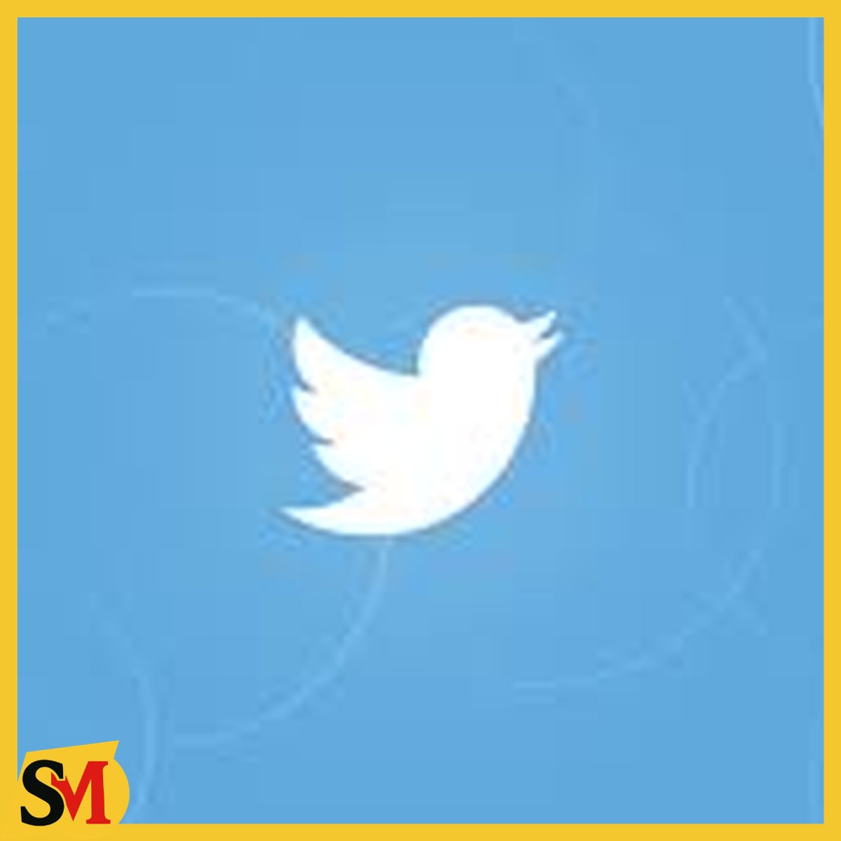 Tài khoản Twitter các loại giá rẻ, Twitter US, Twitter VN, Twitter Cổ chất lượng